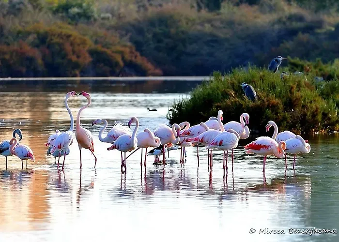 Con Excelentes Vistas Apartment *