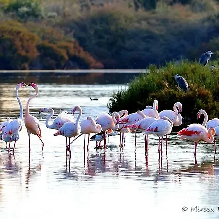 Con Excelentes Vistas شقة *